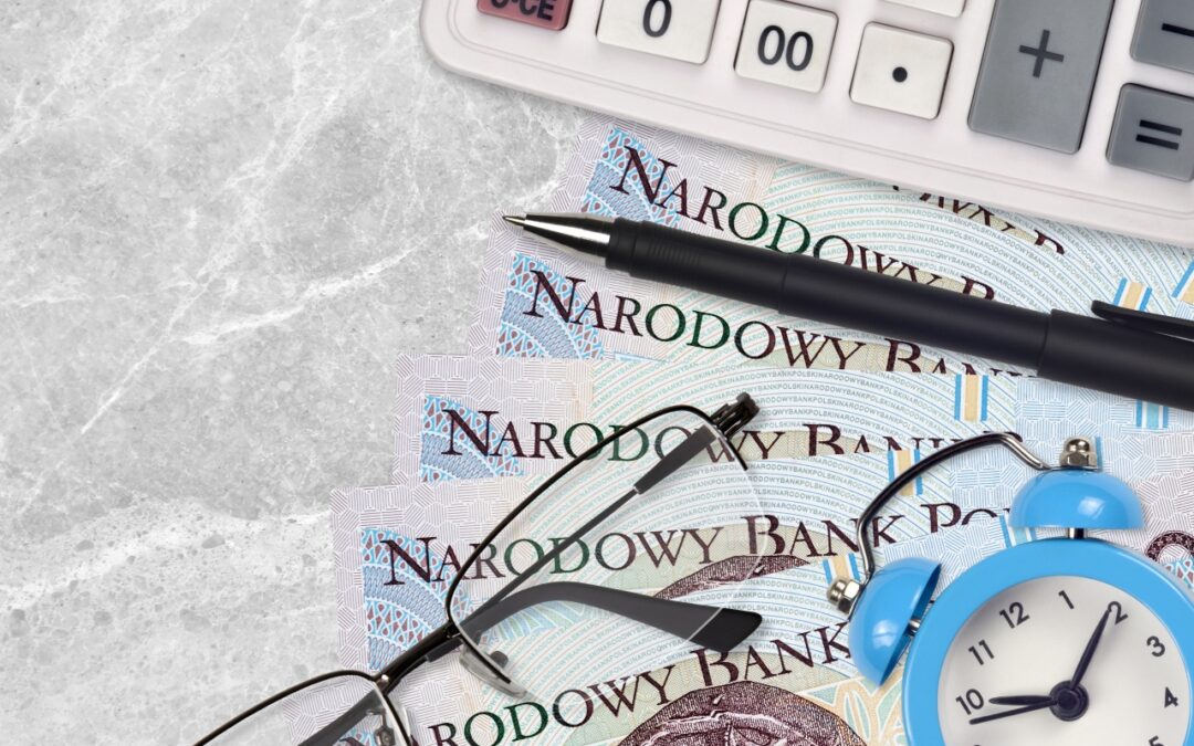 Kontrole skarbowe dotyczące ulg podatkowych – na co zwraca uwagę urząd skarbowy?