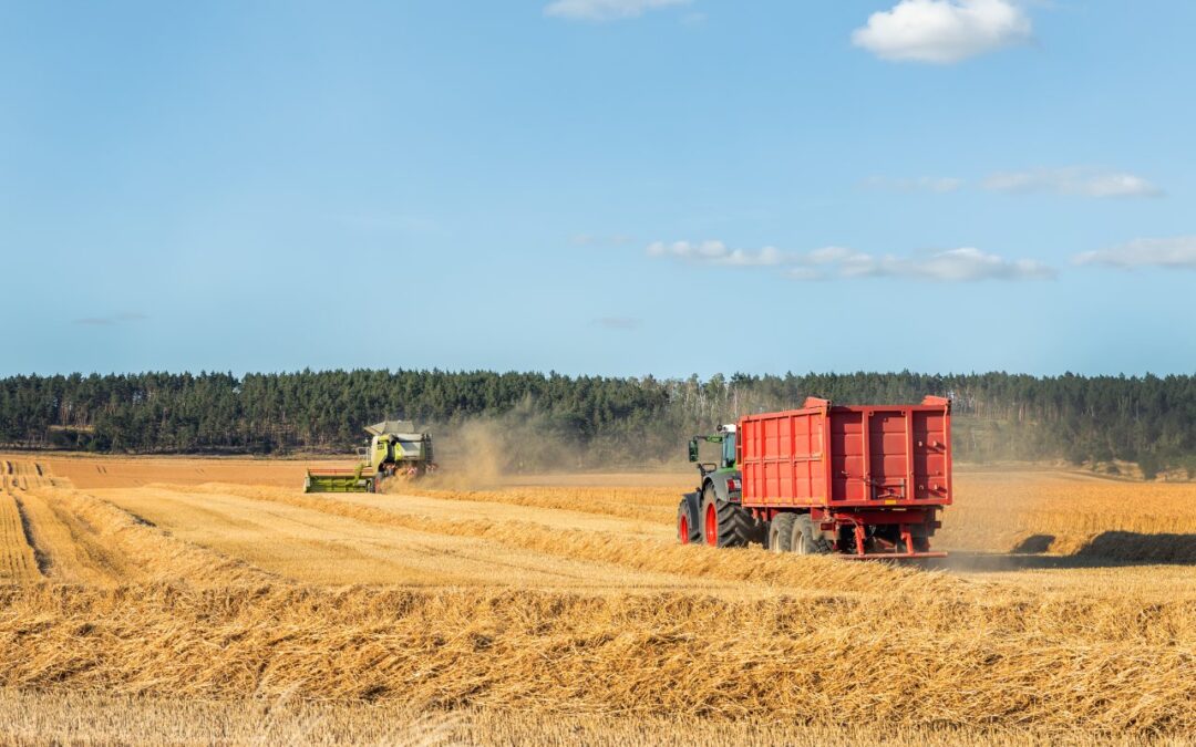 Na co zwrócić uwagę przy zakupie przyczepy rolniczej