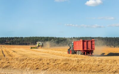 Na co zwrócić uwagę przy zakupie przyczepy rolniczej