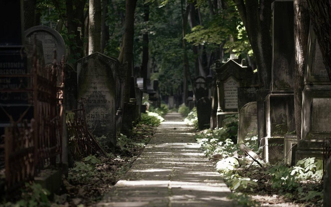 W cieniu zabytkowych alei. Jak historia i nowoczesność kształtują współczesne usługi pogrzebowe