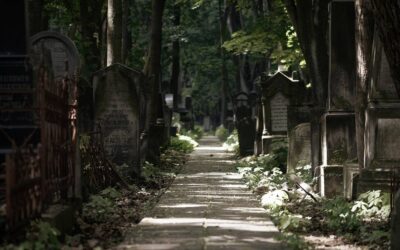 W cieniu zabytkowych alei. Jak historia i nowoczesność kształtują współczesne usługi pogrzebowe
