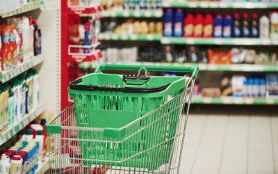 Franczyza jako alternatywa dla biznesu od zera: kiedy ją rozważyć?